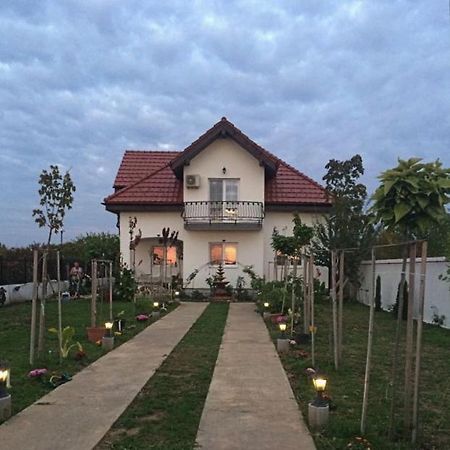 Blue Sky House Hotel Balotesti Kültér fotó