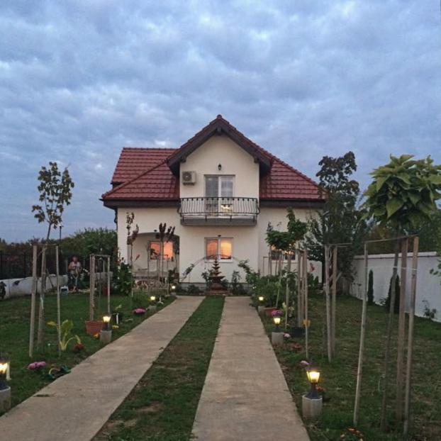 Blue Sky House Hotel Balotesti Kültér fotó